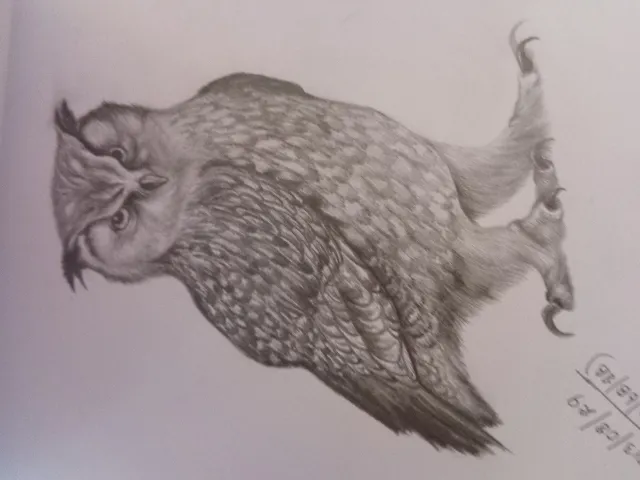 Wild Life Artwork 8